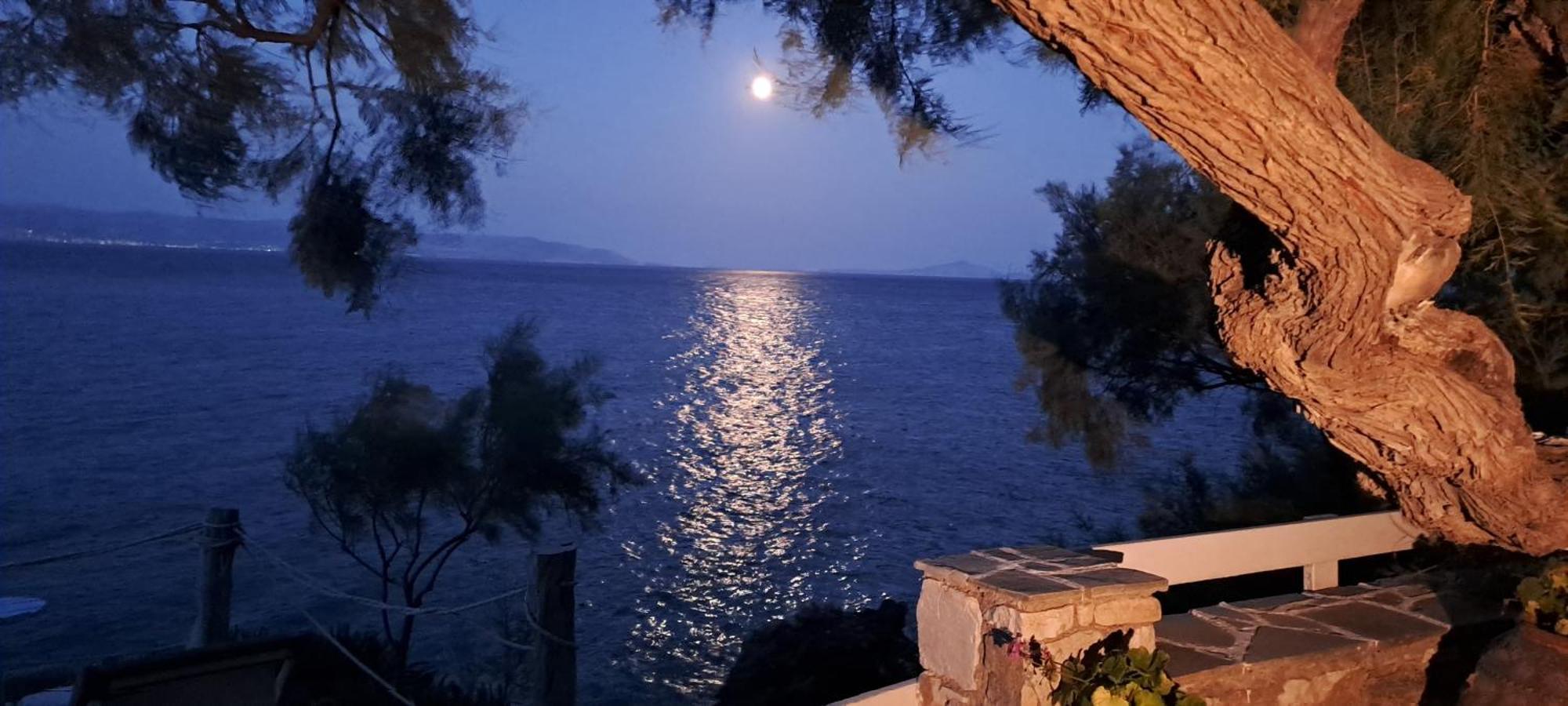 Dinas Inn Πίσω Λιβάδι Εξωτερικό φωτογραφία