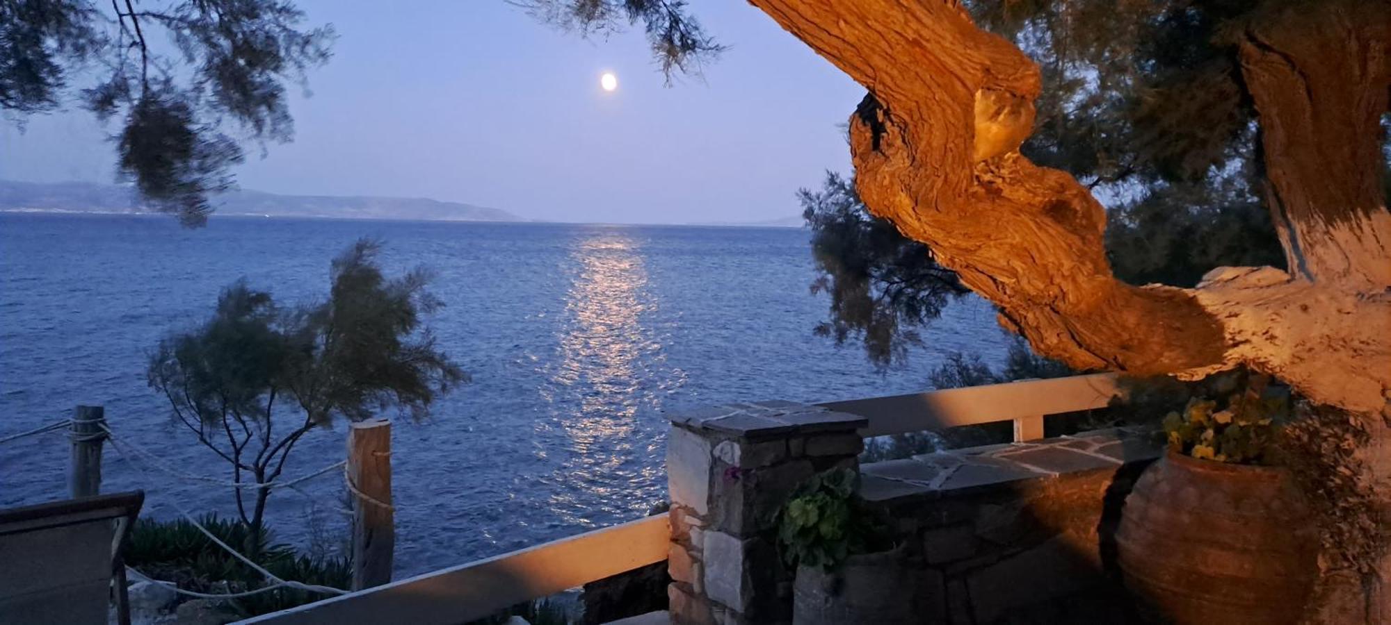 Dinas Inn Πίσω Λιβάδι Εξωτερικό φωτογραφία