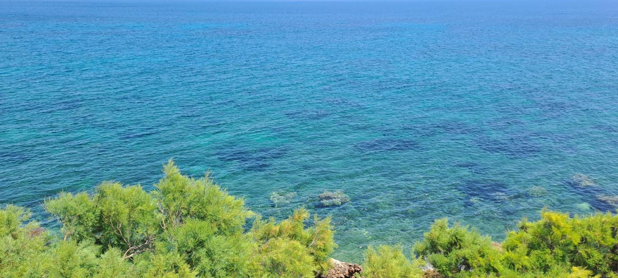 Dinas Inn Πίσω Λιβάδι Εξωτερικό φωτογραφία