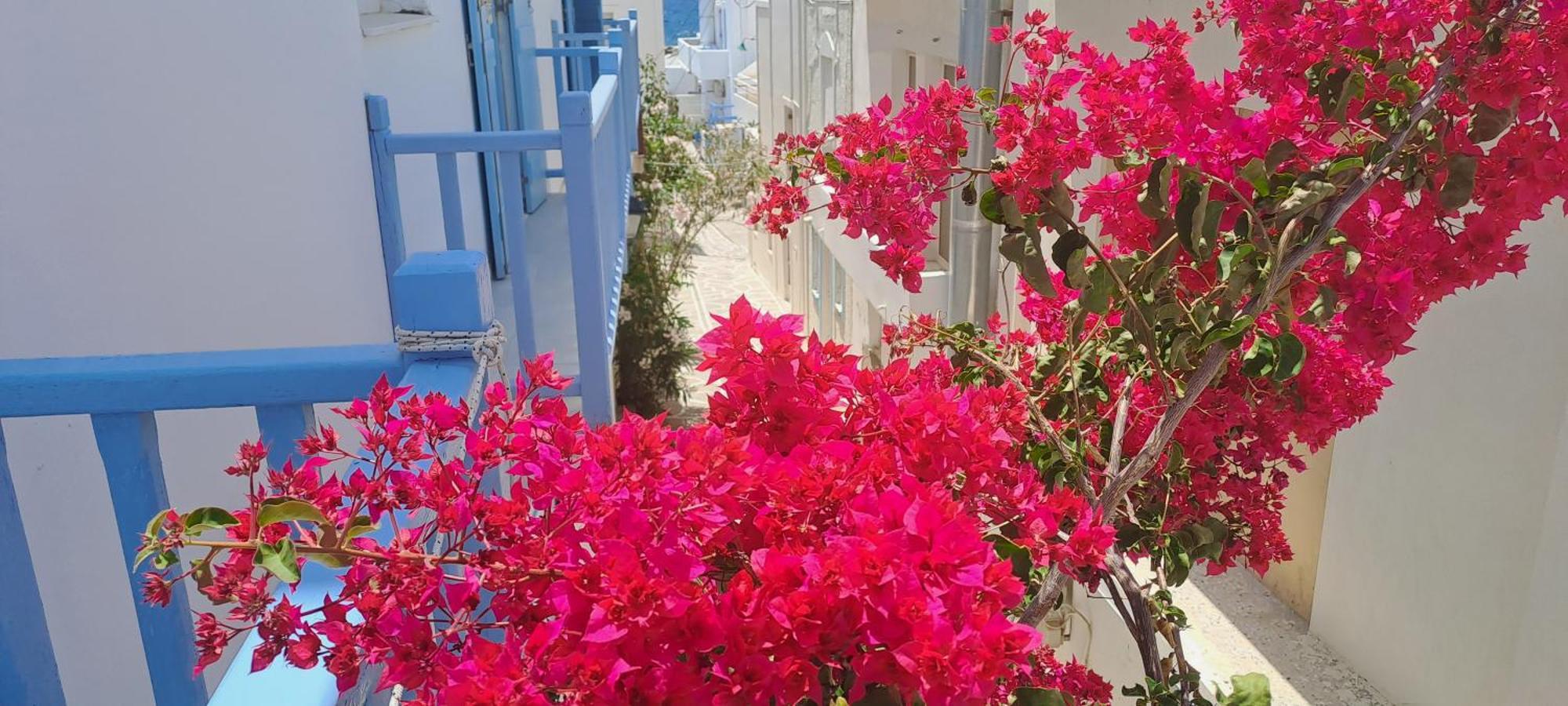 Dinas Inn Πίσω Λιβάδι Εξωτερικό φωτογραφία