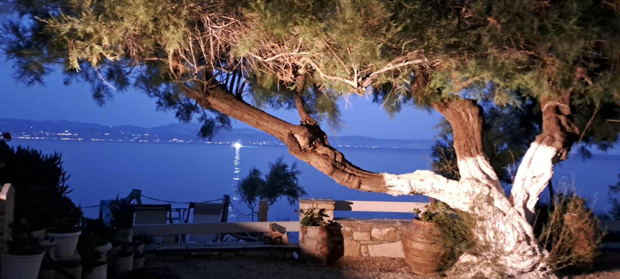 Dinas Inn Πίσω Λιβάδι Εξωτερικό φωτογραφία