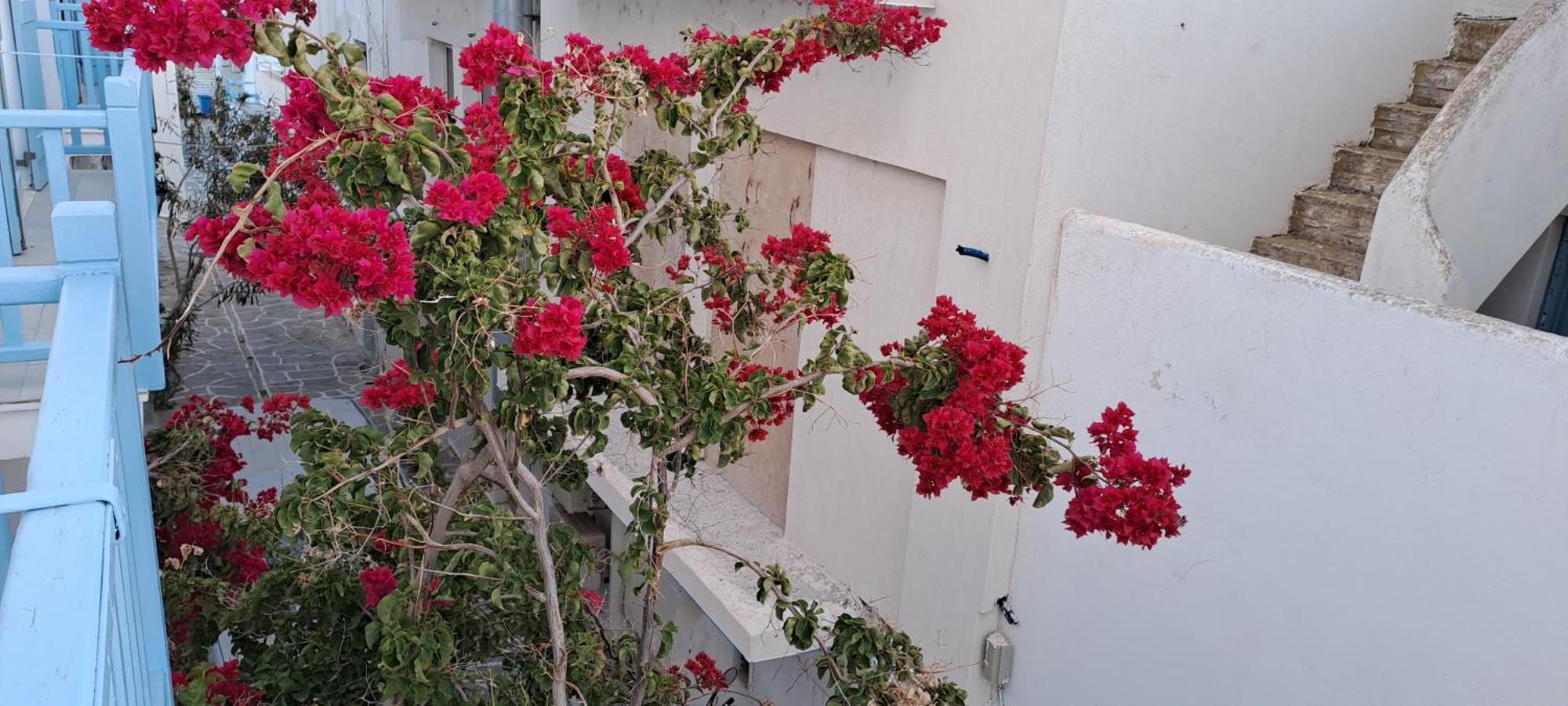 Dinas Inn Πίσω Λιβάδι Εξωτερικό φωτογραφία