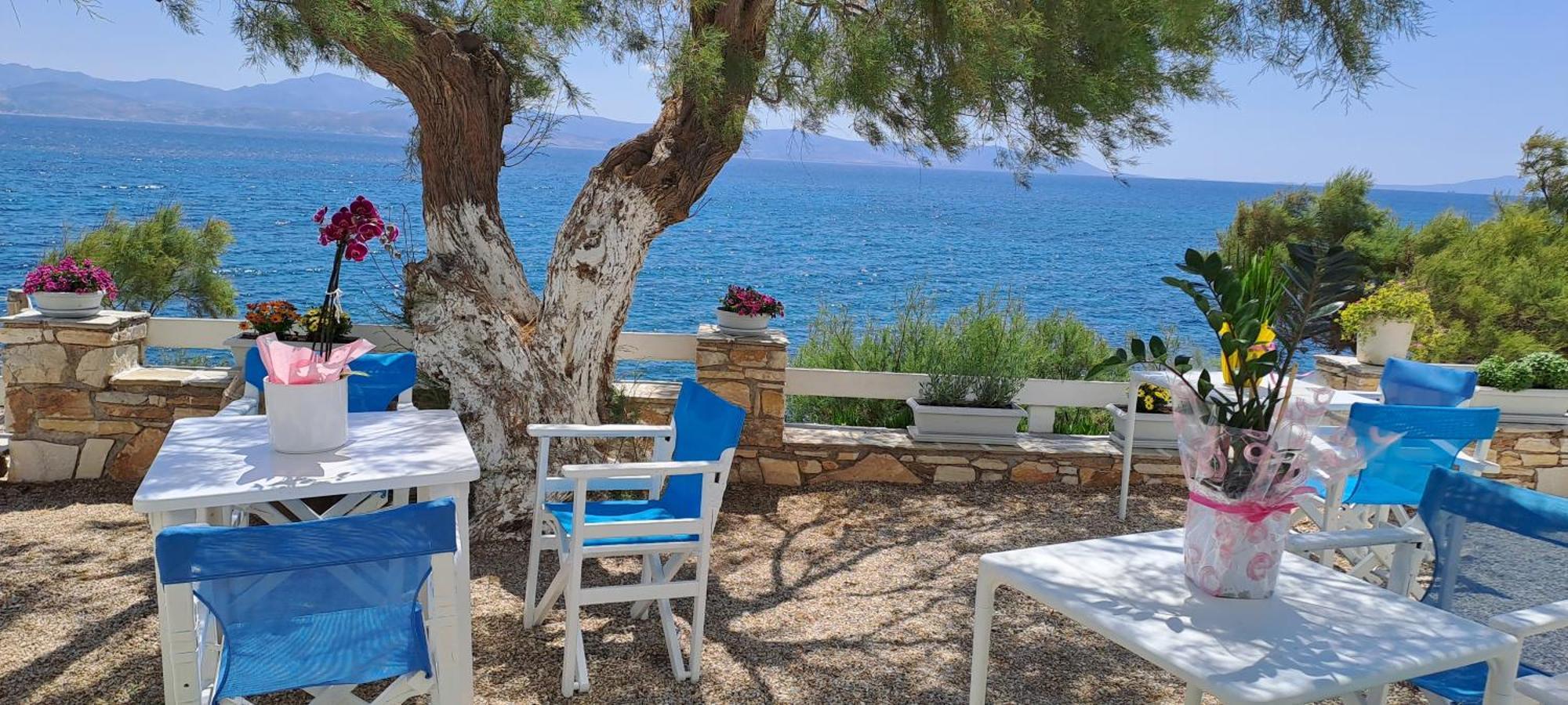 Dinas Inn Πίσω Λιβάδι Εξωτερικό φωτογραφία