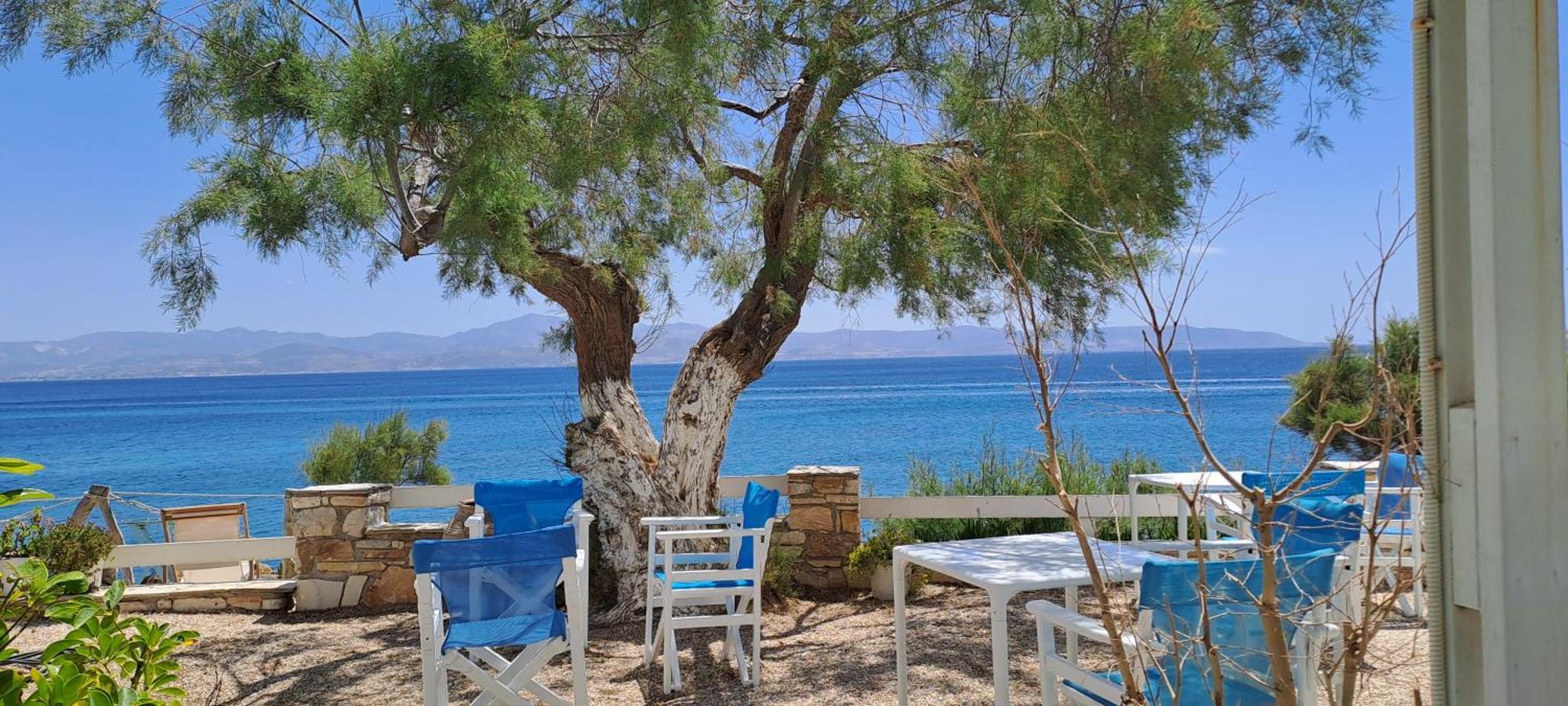 Dinas Inn Πίσω Λιβάδι Εξωτερικό φωτογραφία