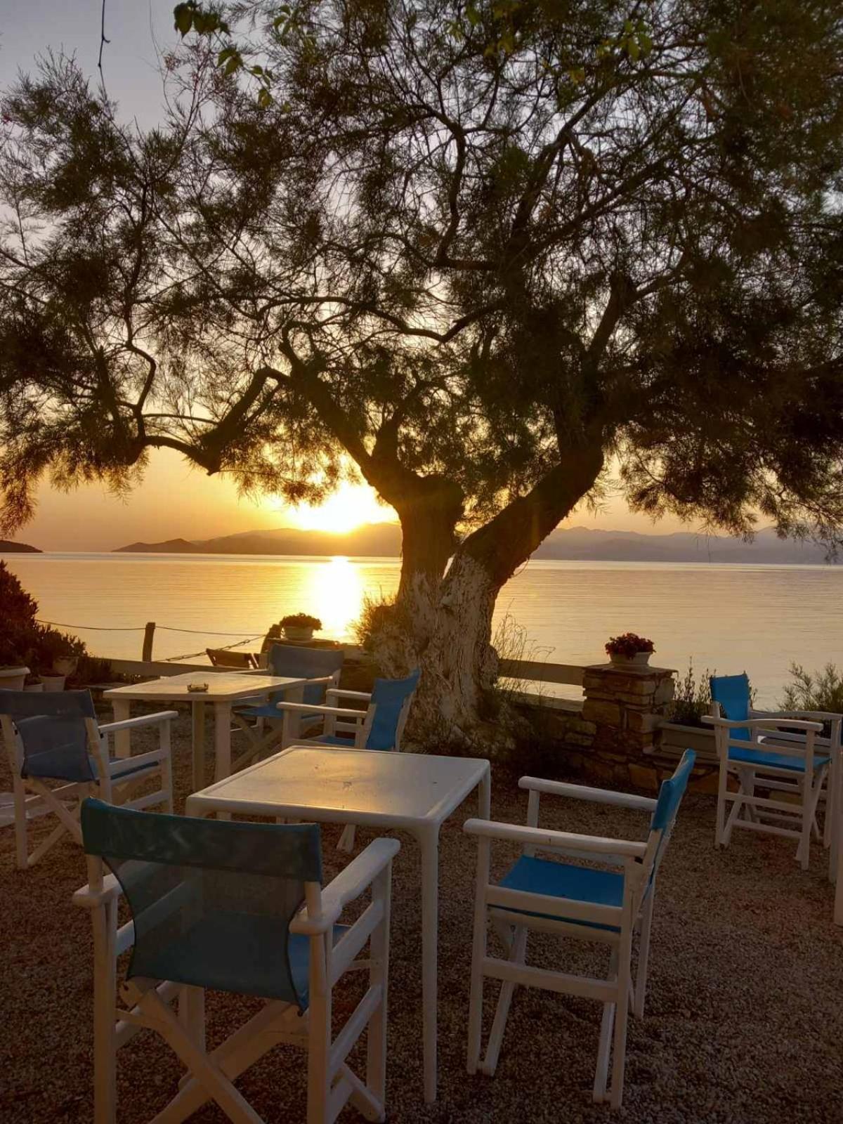 Dinas Inn Πίσω Λιβάδι Εξωτερικό φωτογραφία